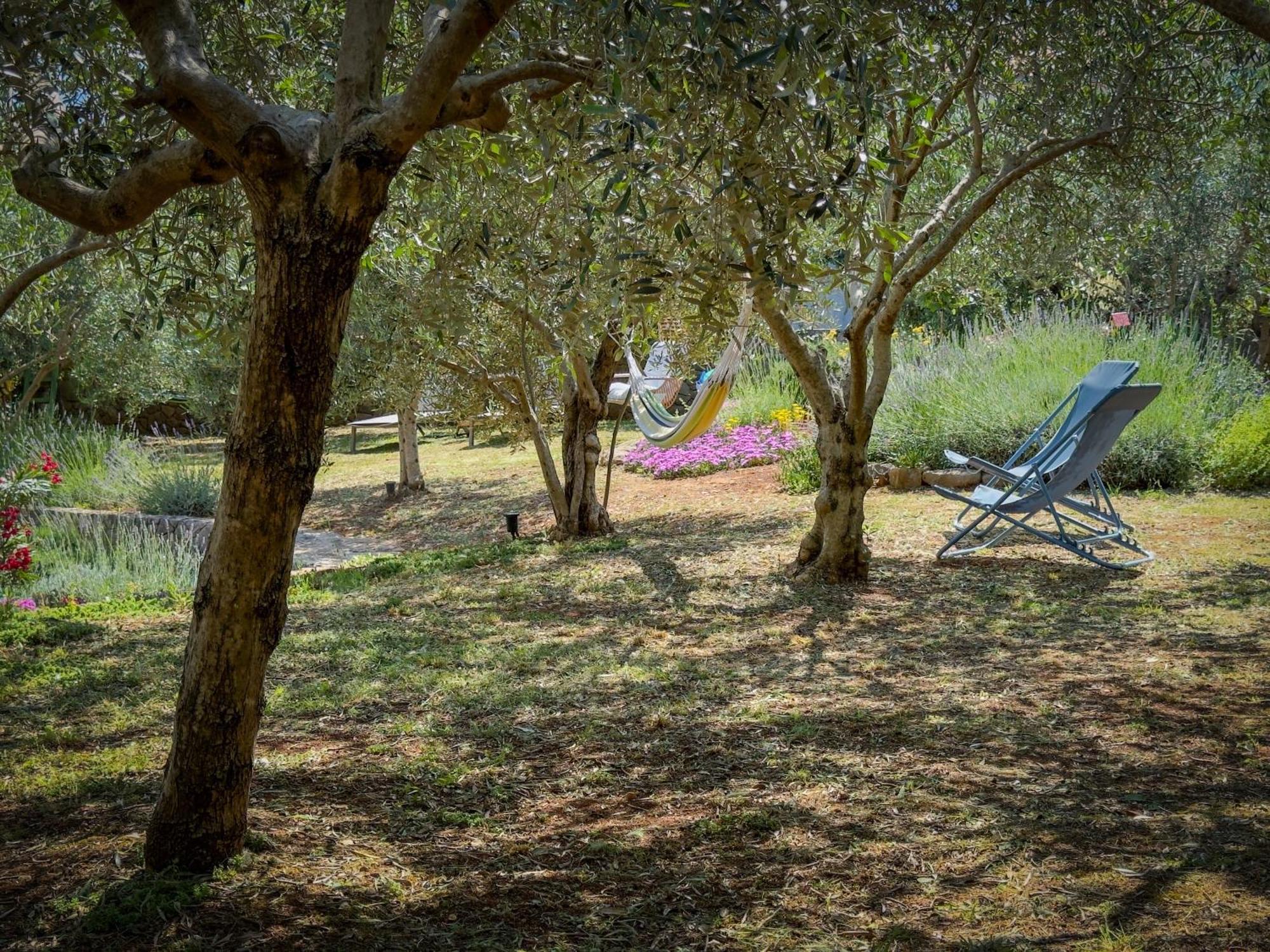 Holiday Home Lavanda Kornić Екстериор снимка